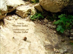 خیلی خیلی کوچک (1) (رویای حلزونی)